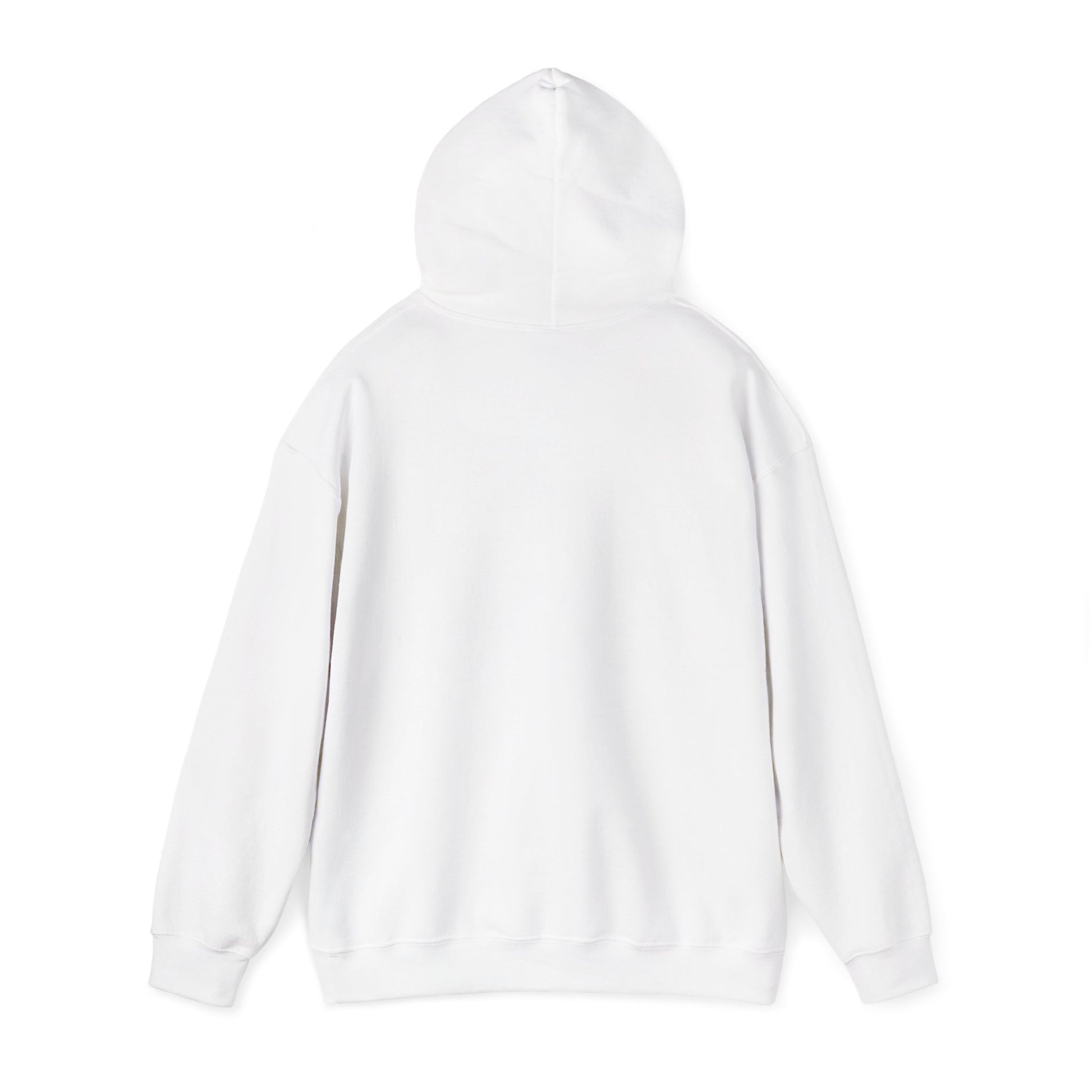 Insulin Vial - Diabetes Awareness (French) - Unisex Hoodie The Diabuddies Store Hoodies $32.41