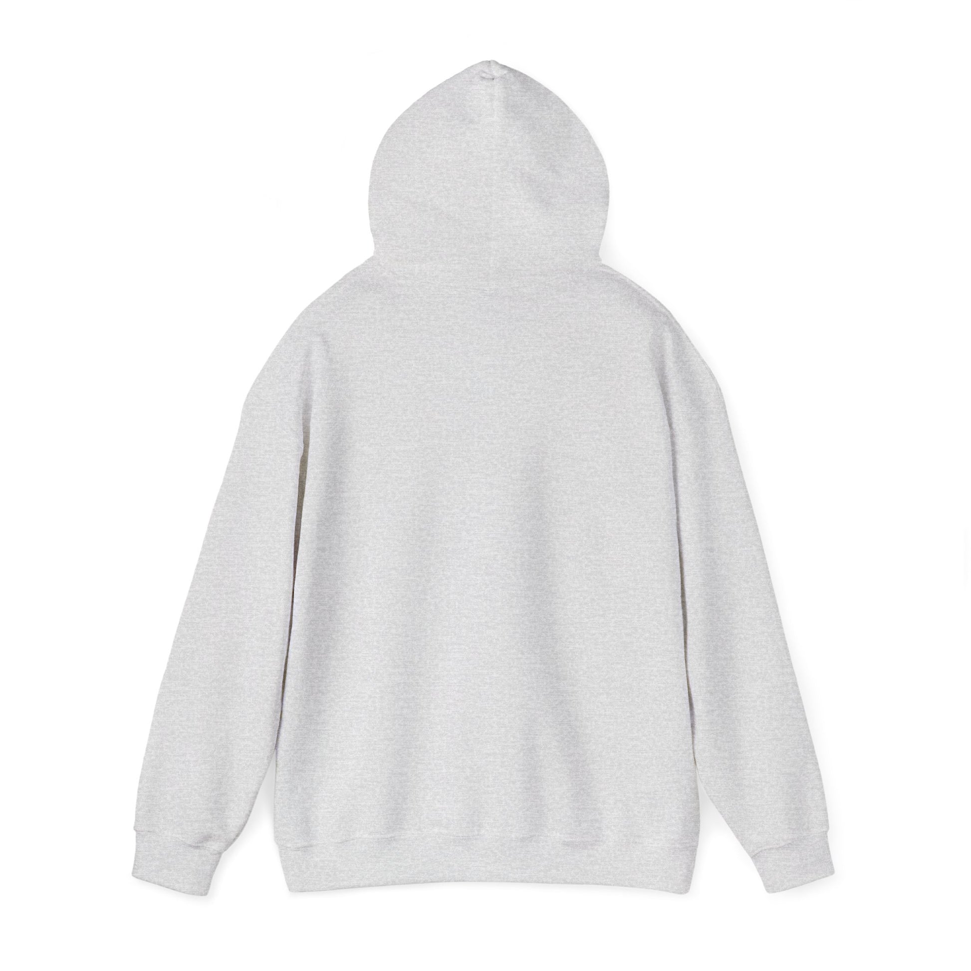Insulin Vial - Diabetes Awareness (French) - Unisex Hoodie The Diabuddies Store Hoodies $32.41