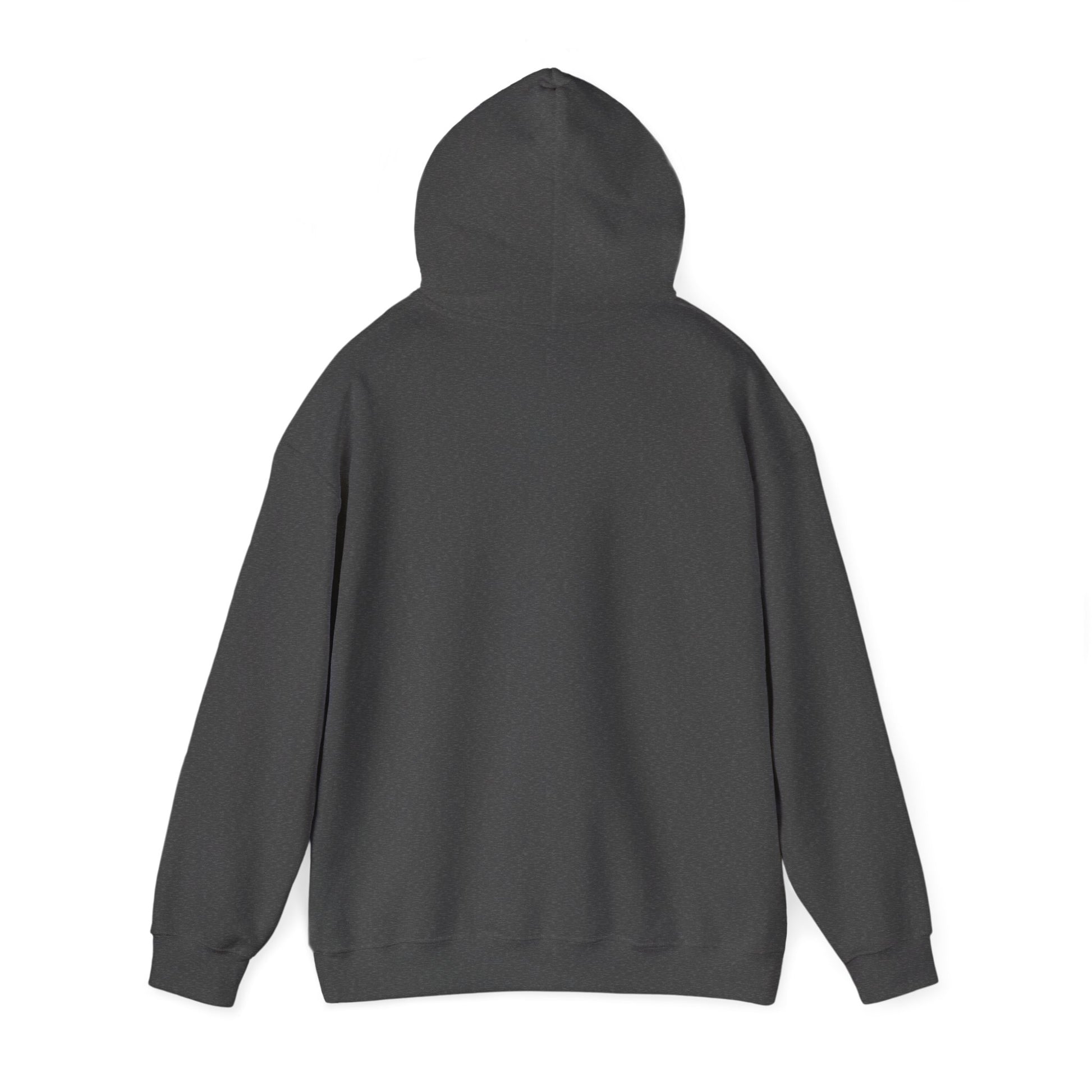 The Diabuddies Store Greater Than (Grey & Green) - Unisex Hoodie Greater Than (Grey & Green) - Unisex Hoodie: You are always greater than your challenges. Our Hoodie, featuring a stylish grey with vibrant green accents, is more than just comfortable appar
