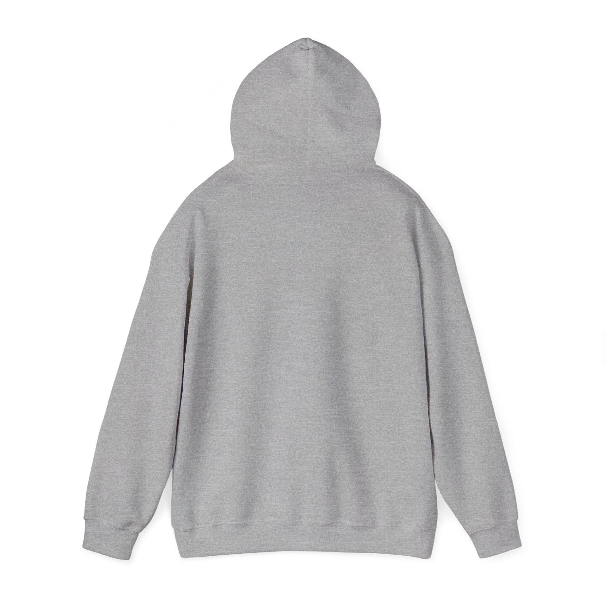 Insulin Vial - Diabetes Awareness (French) - Unisex Hoodie The Diabuddies Store Hoodies $32.41