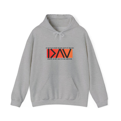 The Diabuddies Store Greater Than (French/Orange) - Unisex Hoodie Greater Than (French/Orange) - Unisex Hoodie: Make a bold statement: You are always greater than! Our "Greater Than" Unisex Hoodie in vibrant orange is designed to stand out and uplift. $32