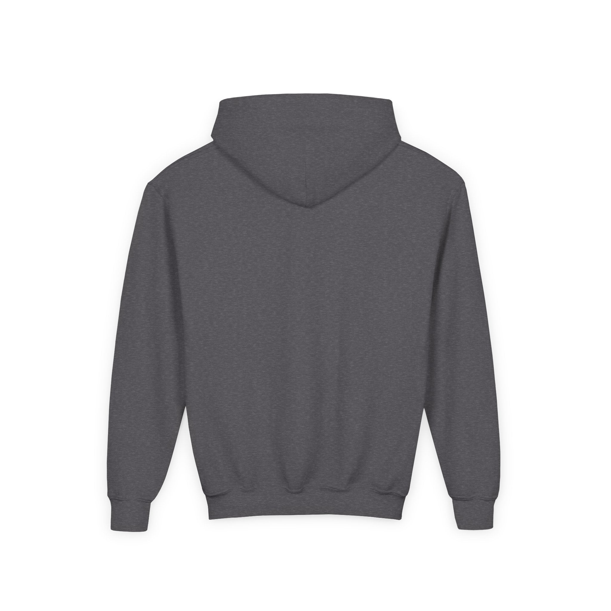 The Diabuddies Store I am Greater than (Grey) - Youth Hoodie I am Greater than (Grey) - Youth Hoodie: Celebrate resilience and strength with this Youth Hoodie! It's a powerful symbol for young individuals living with diabetes, reminding them that they are