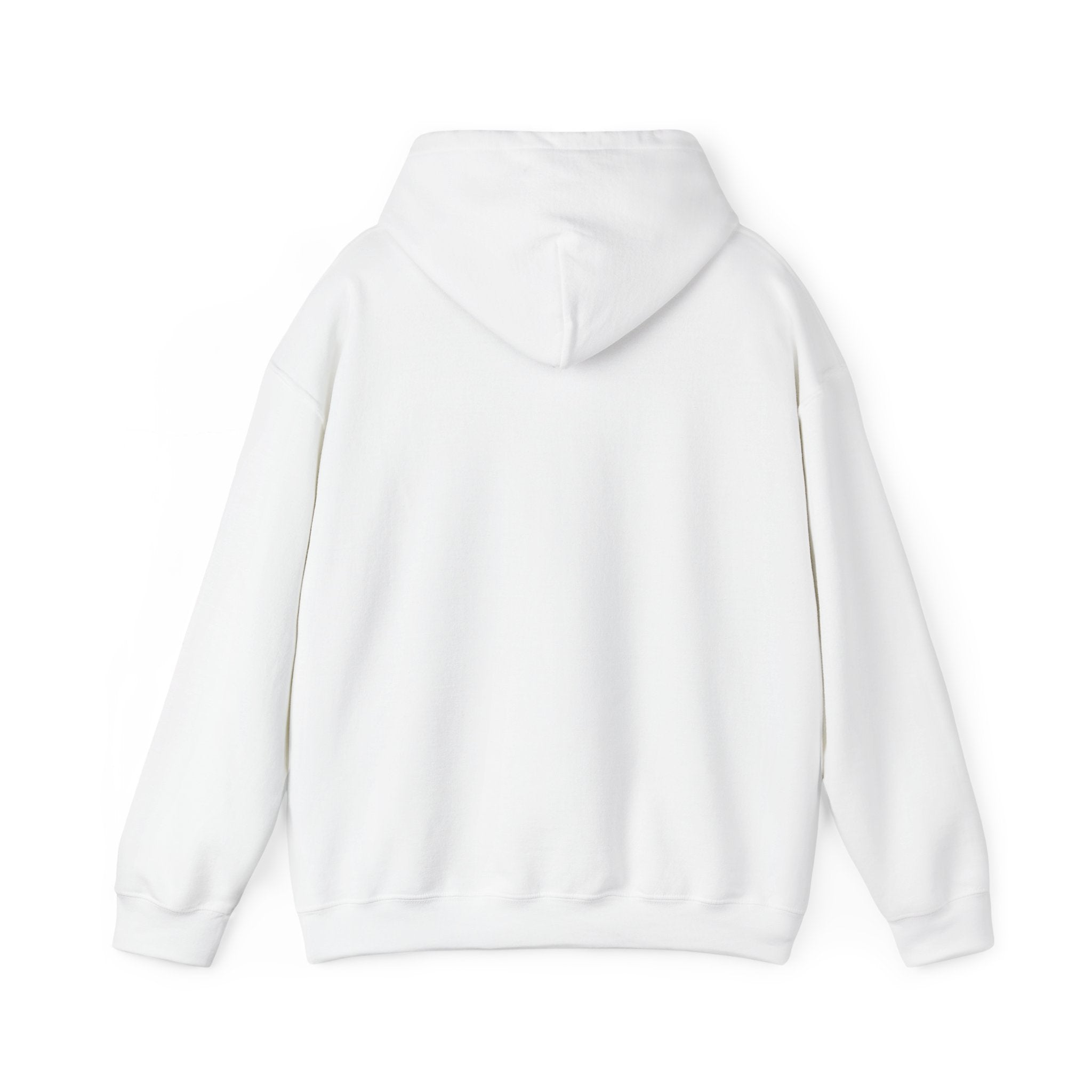 Insulin Vial - Diabetes Awareness (French) - Unisex Hoodie The Diabuddies Store Hoodies $32.41