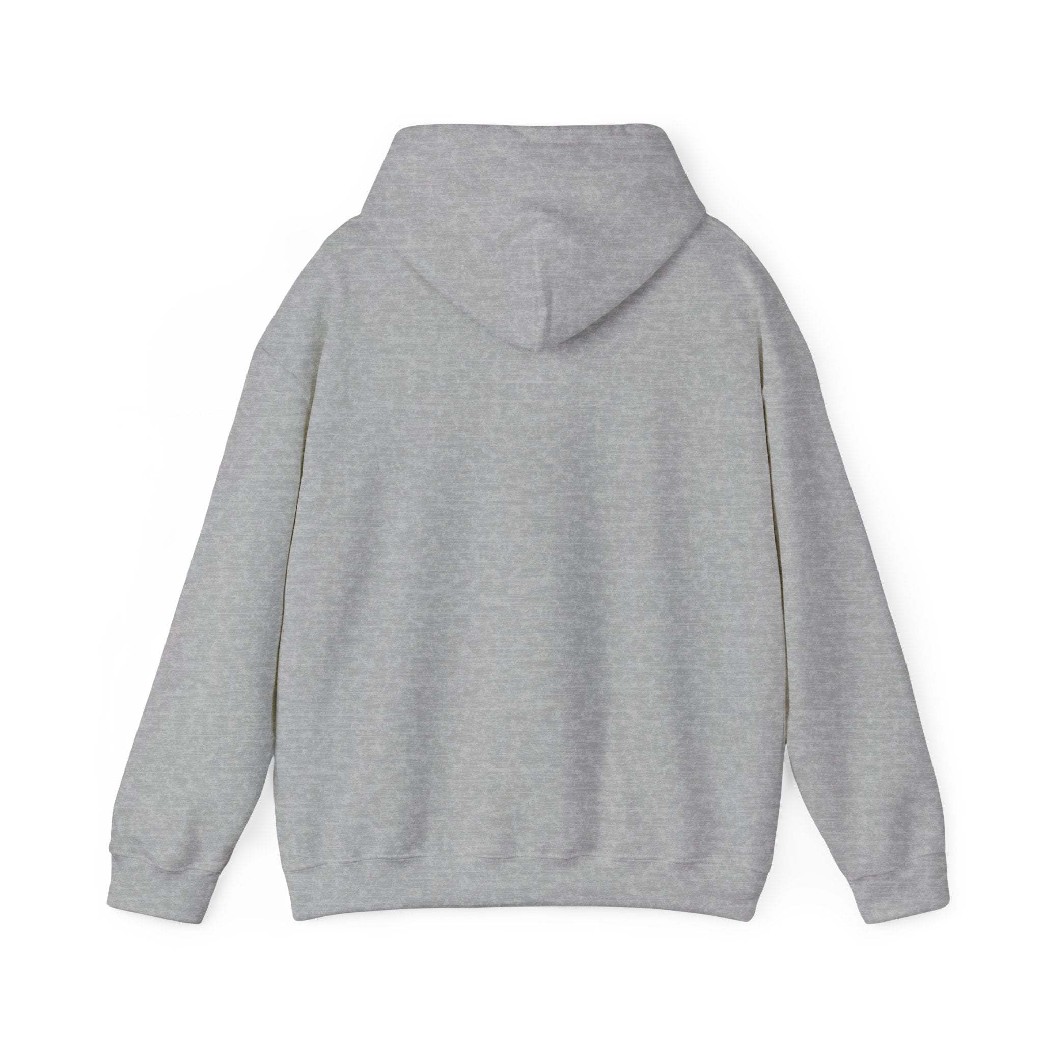 Insulin Vial - Diabetes Awareness (French) - Unisex Hoodie The Diabuddies Store Hoodies $32.41