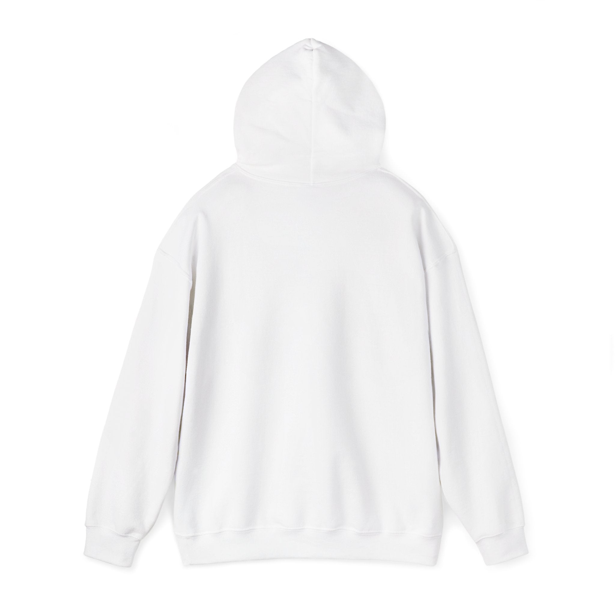 Insulin Vial - Diabetes Awareness (French) - Unisex Hoodie The Diabuddies Store Hoodies $32.41
