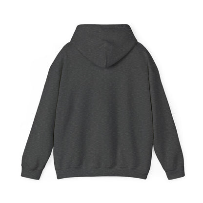 The Diabuddies Store Type One-derful - Unisex Hoodie Type One-derful - Unisex Hoodie: Uniquely Strong, Absolutely Wonderful. Embrace your journey with pride! Our "Type One-derful" tee is a joyful and empowering tribute to everyone living with Type 1 diabe
