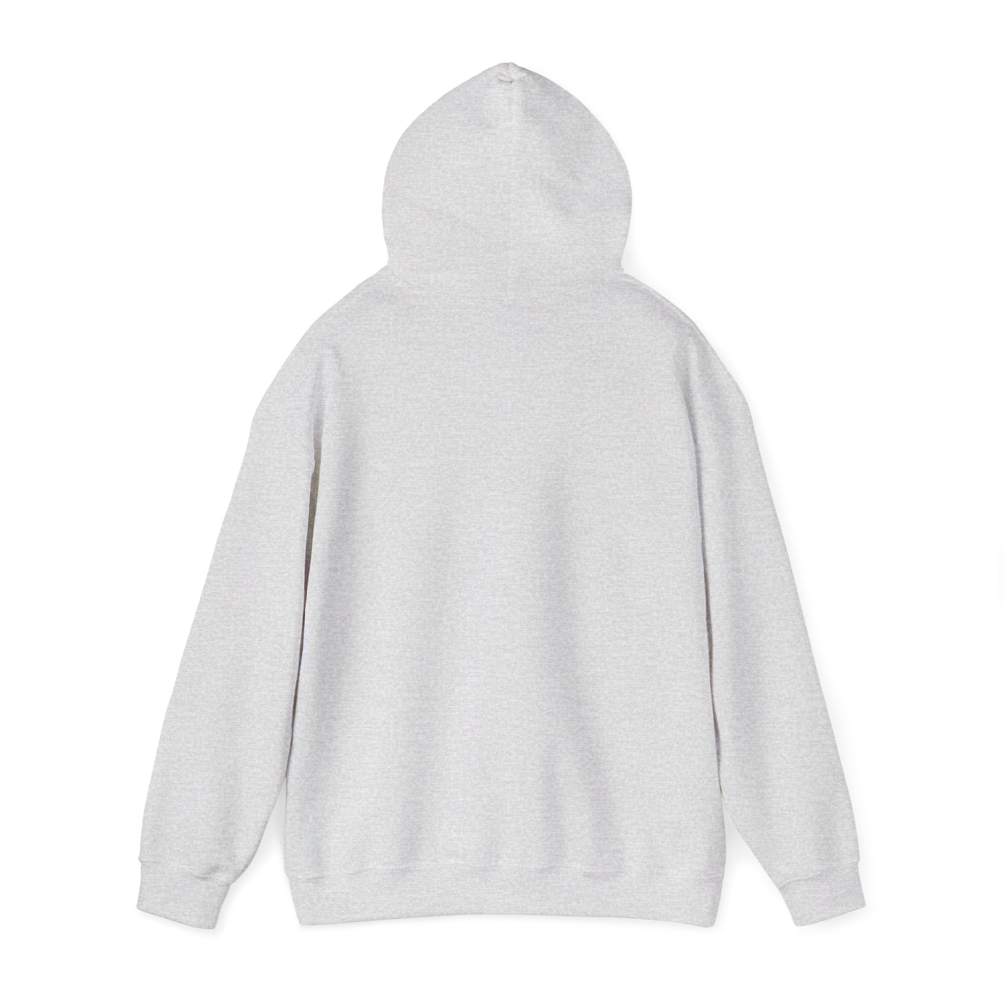 Insulin Vial - Diabetes Awareness (French) - Unisex Hoodie The Diabuddies Store Hoodies $32.41